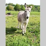 Dom wakacyjny La Cle Du Bouton D'or *