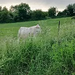 La Cle Du Bouton D'or Dom wakacyjny Leschelle