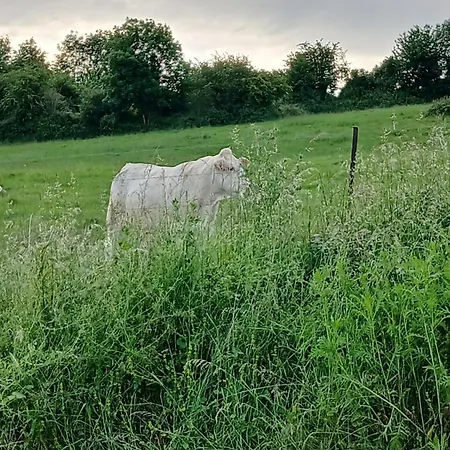 La Cle Du Bouton D'or 別荘 Leschelle